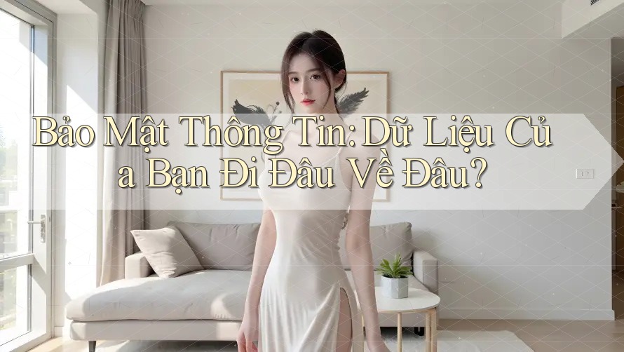 Bảo Mật Thông Tin: Dữ Liệu Của Bạn Đi Đâu Về Đâu? Bảo Mật Thông Tin: Dữ Liệu Của Bạn Đi Đâu Về Đâu?