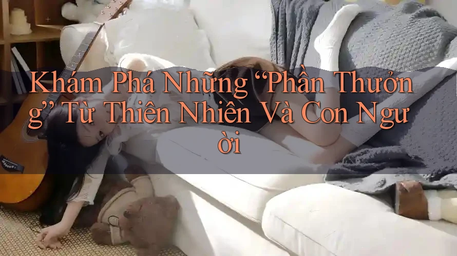 Khám Phá Những “Phần Thưởng” Từ Thiên Nhiên Và Con Người