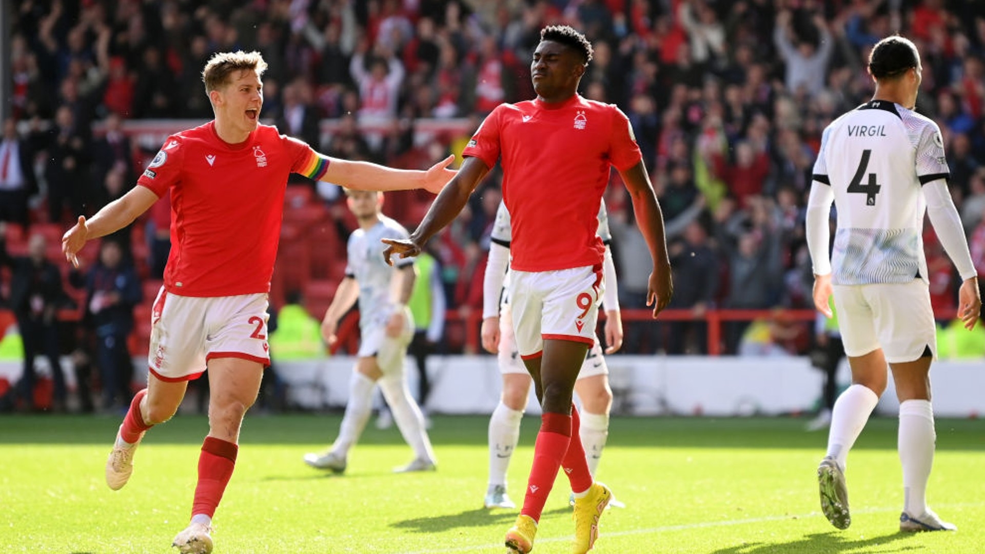 我们不能仅 我们不能仅